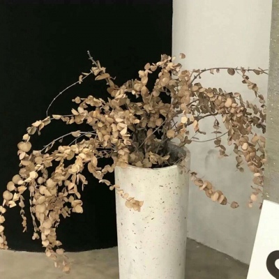 兽设家庭场景设计兽圈社群